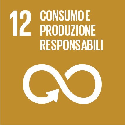 SDG 12 – Consumo e produzione responsabili