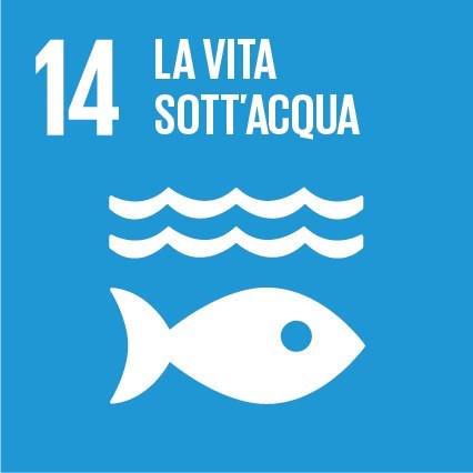 SDG 14 – La vita sott’acqua